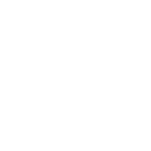 search engine marketing icon