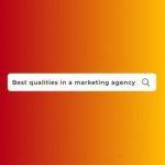 Search Bar For Best Qualities In A Marketing Agency