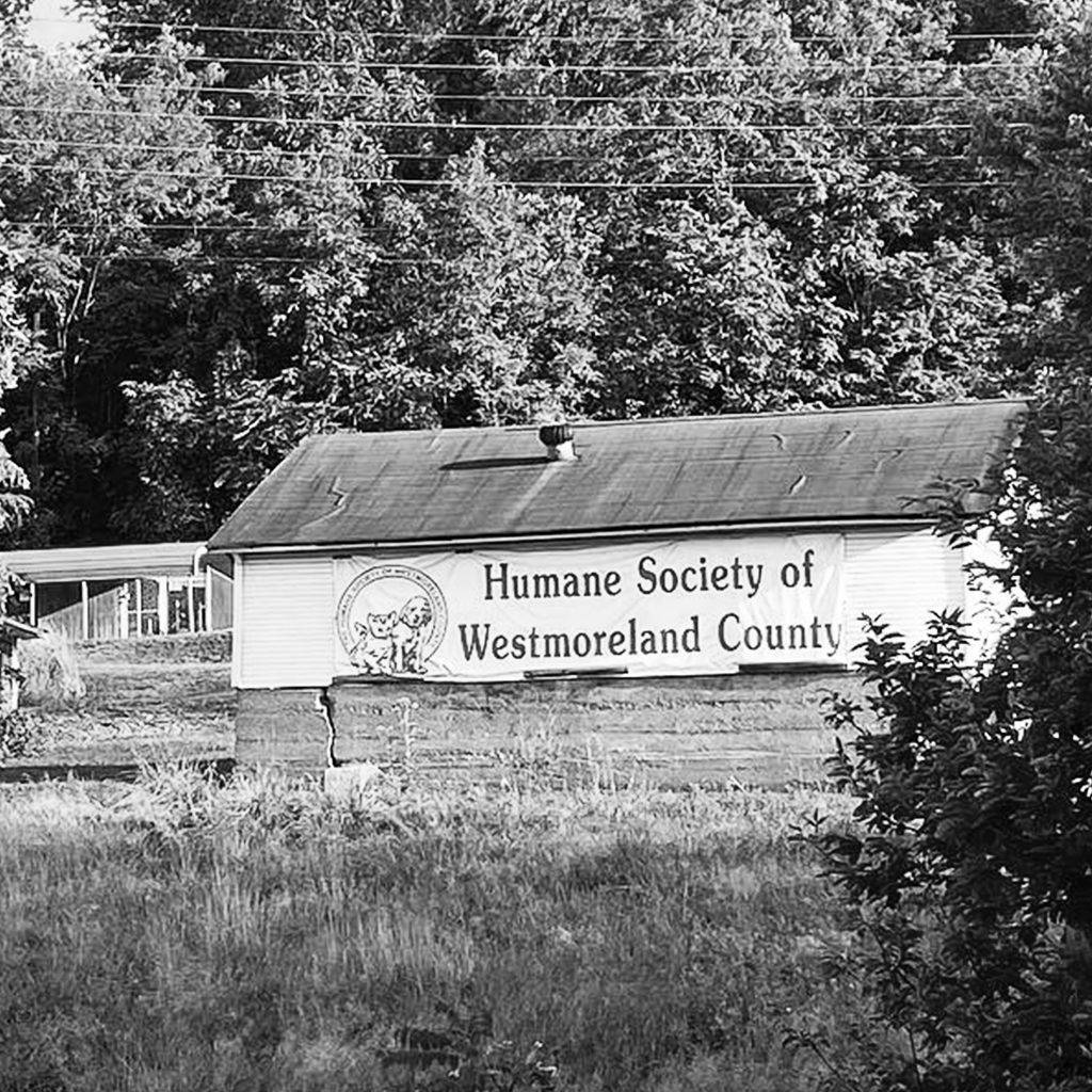westmoreland humane society building